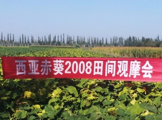 2008g^(gun)Ħ(hu )